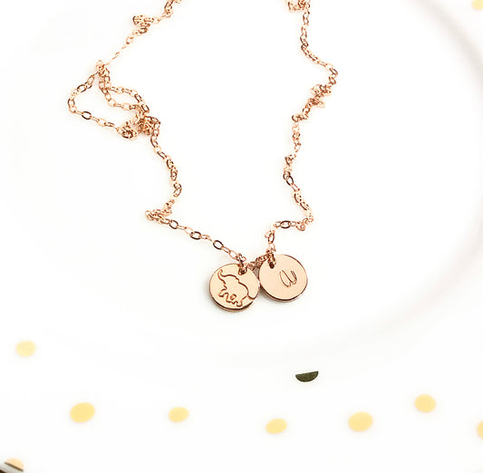 LOYAL DISK NECKLACE